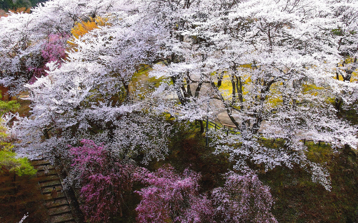 kyoto,nantan,Scenery