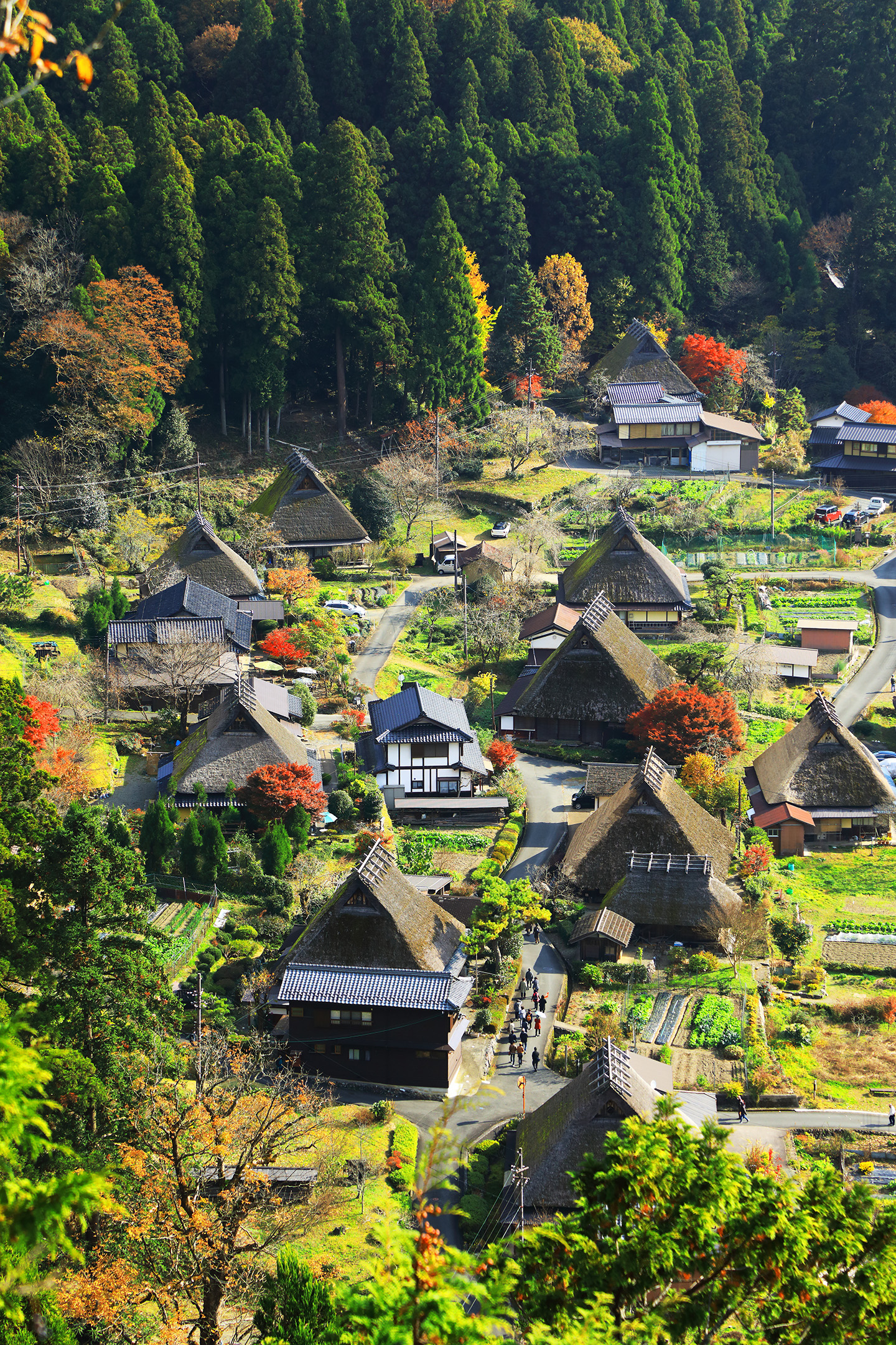 kyoto,nantan,Scenery