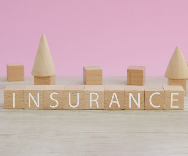 Natural Disasters and Property Insurance