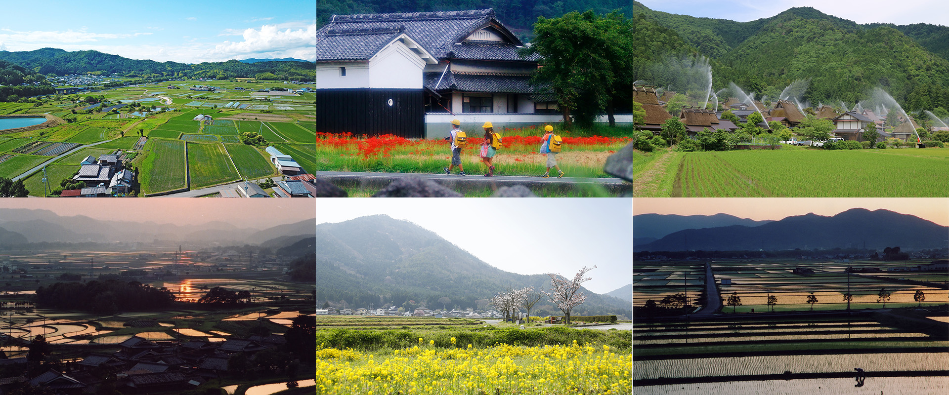 Peaceful and Pastoral Landscape
