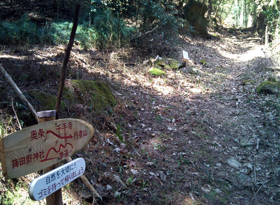 ハイキングコース