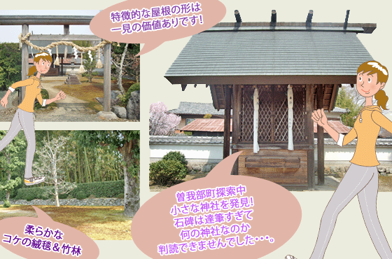 曽我部町の寺社