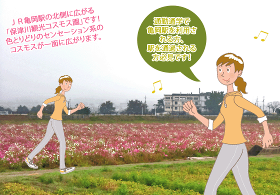 保津川観光コスモス園