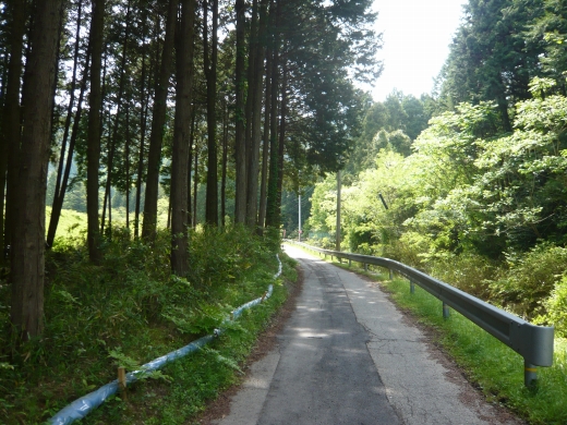 山道