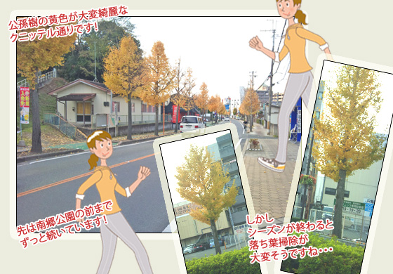 クニッテル通り