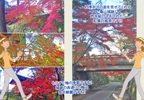 紅葉,亀山城跡