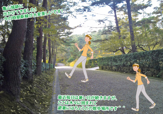 亀山城跡,明智光秀