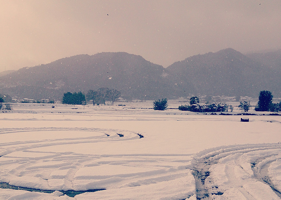 亀岡の大雪