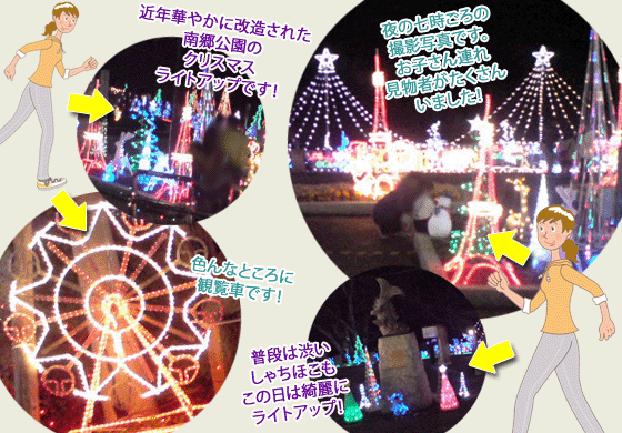 南郷公園のクリスマスライトアップ