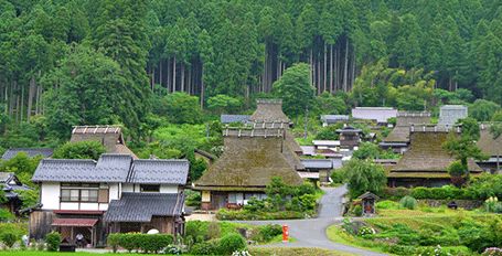 亀岡観光ひまわり園