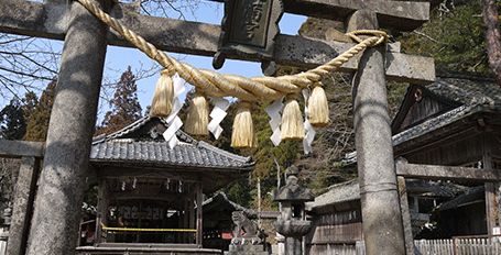 亀岡夢コスモス園