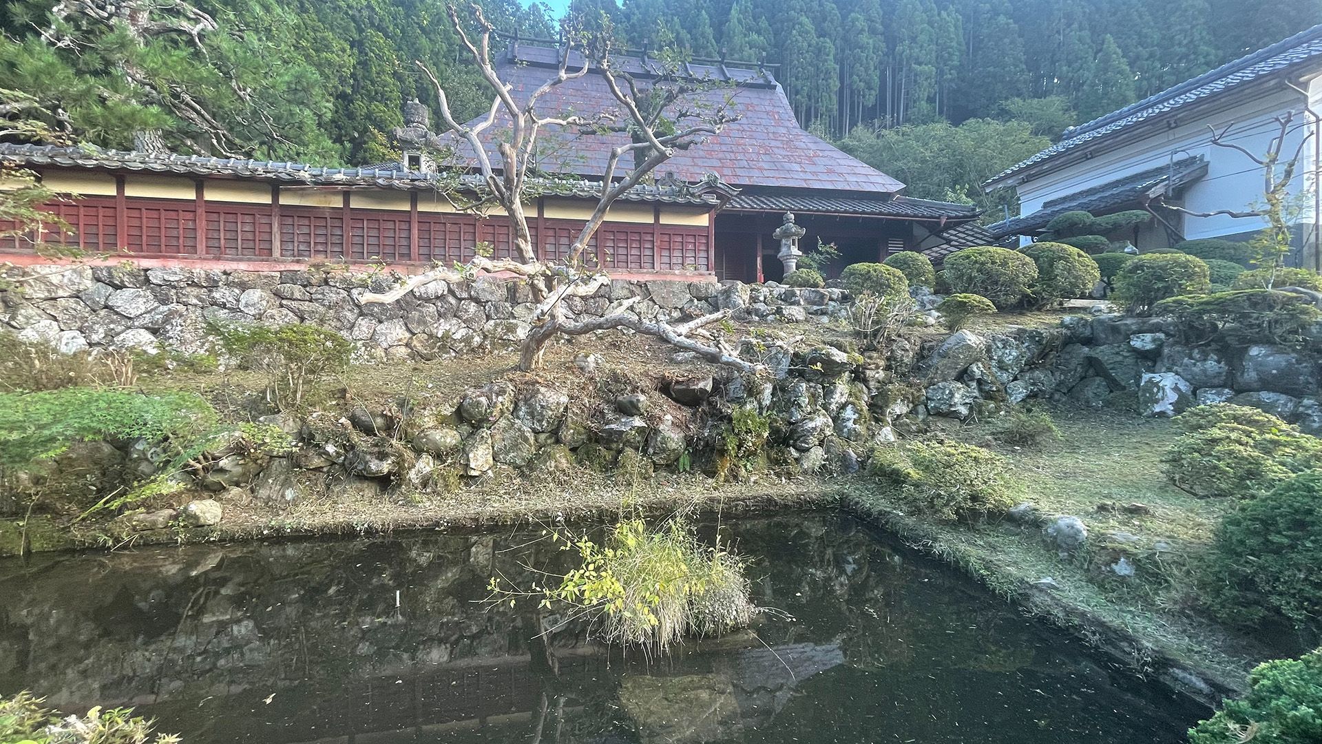 池,日本庭園