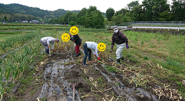 田舎体験,体験農園,京都