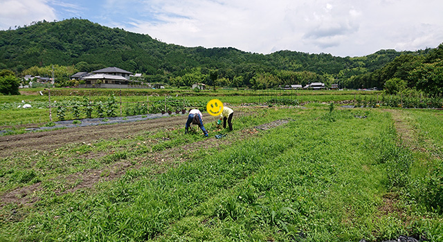 田舎体験,体験農園,京都