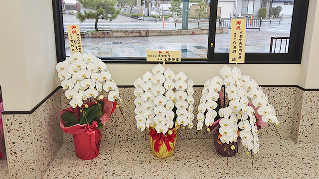 京都,宮津,天橋立,福利厚生施設,宿泊施設