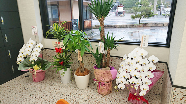 京都,宮津,天橋立,福利厚生施設,宿泊施設