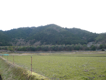 亀岡市,八木城,亀岡の山城を訪ねて,京都新聞