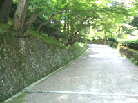 亀山城古写真