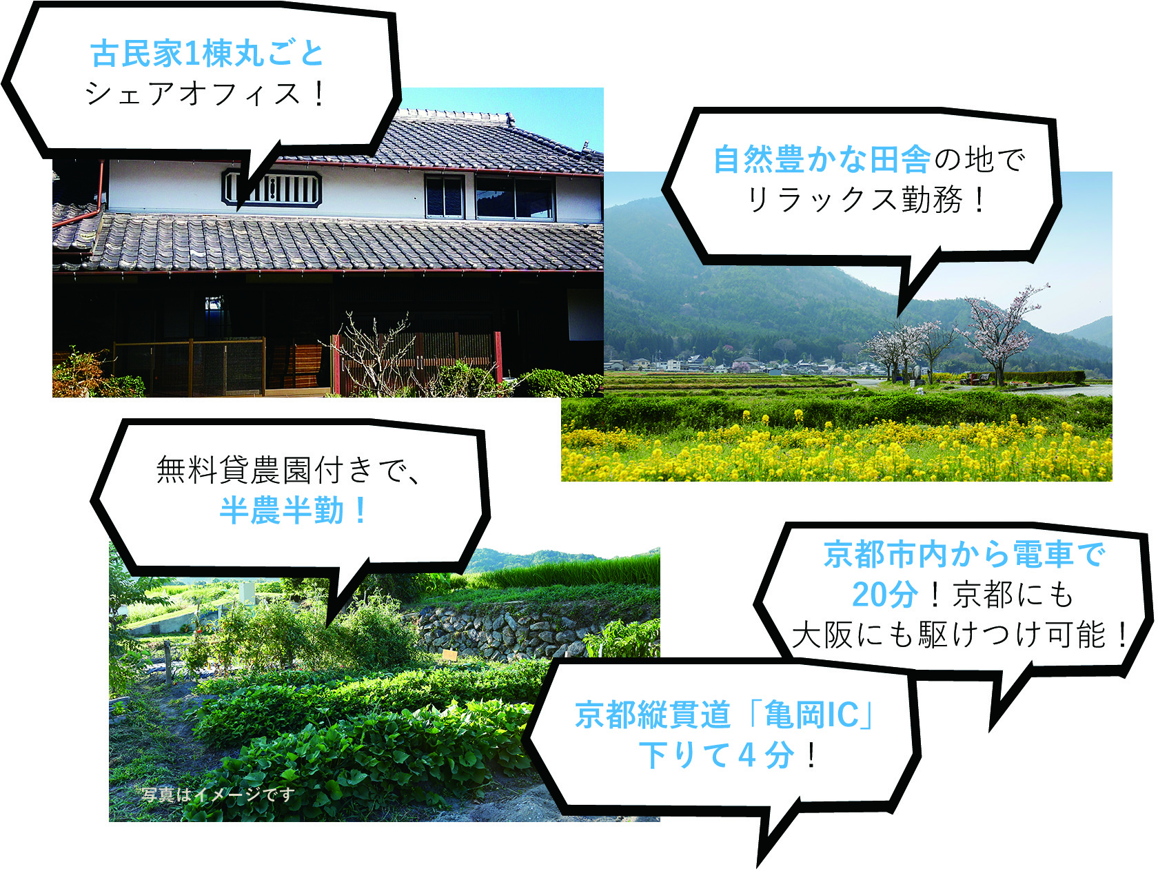 おすすめポイント