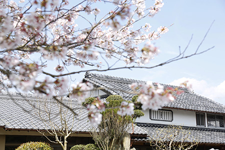 ���s�{�T���s�]�䕔���Ö���